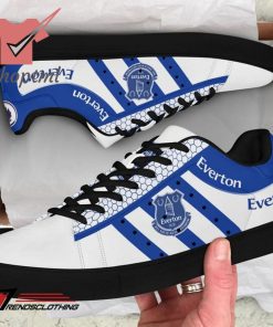 Everton F.C 2023 stan smith skate shoes