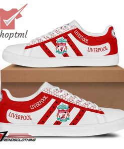 Liverpool F.C 2023 stan smith skate shoes