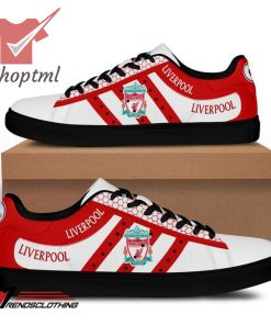Liverpool F.C 2023 stan smith skate shoes
